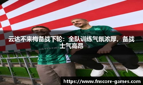 蜂鸟电竞官方正版网站